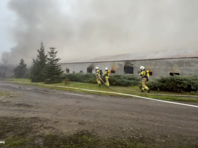 Pożar kurnika na Śląsku. Spłonęło tysiące kurczaków