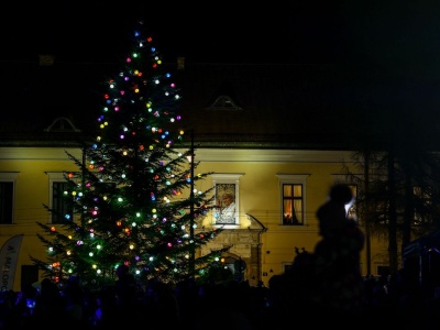 17 metrów wysokości, wiek 37 lat. 19. choinka pod Oknem Papieskim