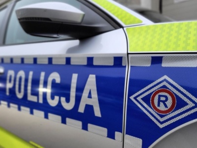 Stado dzików wbiegło pod auta na DK94