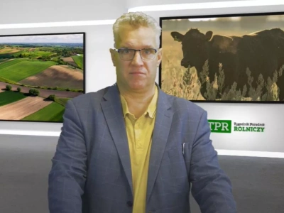 Zakaz mięsa w szkolnych stołówkach? Tak mają wyglądać obiady od 2026 roku