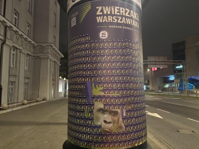 Warszawskie ZOO pozostawiło na słupach darmowe magnesy ze zwierzętami. Wiemy, gdzie je znaleźć