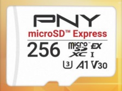 Karta microSD PNY Express 256GB V30 A1 za 153,82 zł w Amazon PL