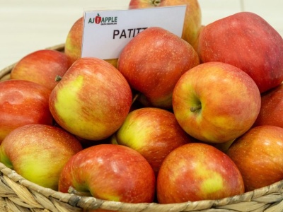 Nowe odmiany jabłoni: Patitta, RED Paulina. Co wyróżnia ich owoce?