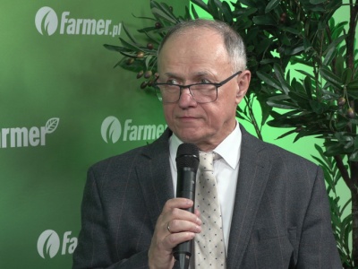 Rynek wieprzowiny pod ogromną presją. Trudno liczyć na wzrost cen