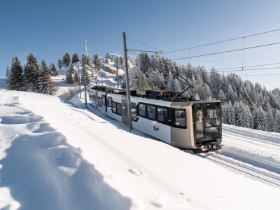 Stadler dostarczy cztery kolejne pociągi z napędem zębatkowym na górę Rigi