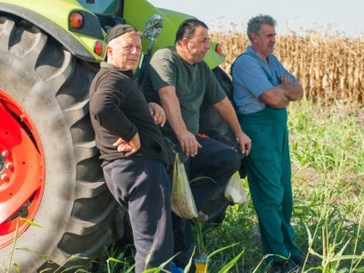 Smutna analiza nastrojów rolników. Gdzie się podział optymizm?