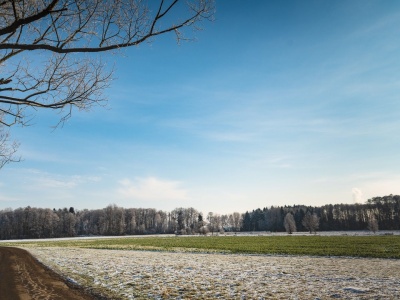 15 dobowy rekord temperatury w tym roku. Czas zmienić myślenie o klimacie Polski