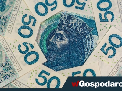 Członek RPP: dłuższa przerwa w obniżkach stóp