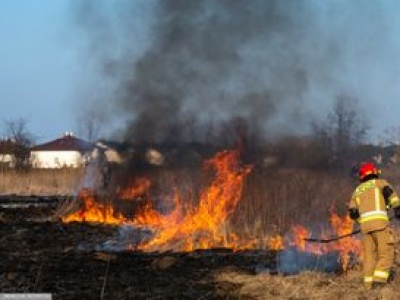 Nawet 30 tys. zł za wypalanie traw. Prezydent zdecydował