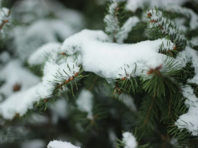 Kiedy spadnie śnieg? Eksperci wskazali moment, biały puch zostanie z nami aż do sylwestra