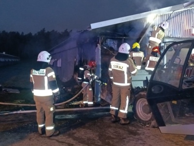 Pożar kurnika w Woli Morawickiej. W hali 19 tysięcy kurcząt
