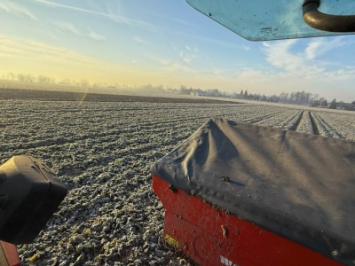 Nawożenie rzepaku zimą. Czy potas warto podać jeszcze w grudniu?