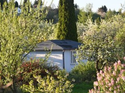 Zburzyli mu altanę. Stracił kota. Teraz wyganiają seniora z kontenera