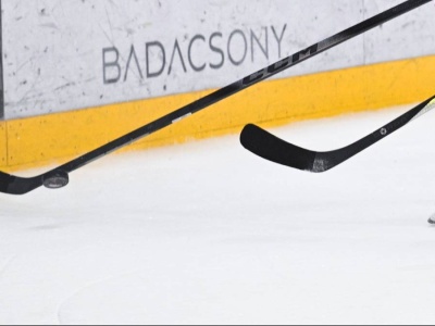 Liga Mistrzów w hokeju na lodzie: Plan transmisji meczów rewanżowych 1/4 finału