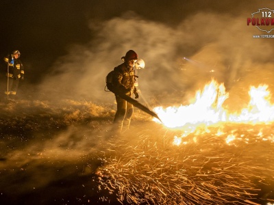 Wyższe kary za wypalanie traw. Ustawa podpisana przez prezydenta