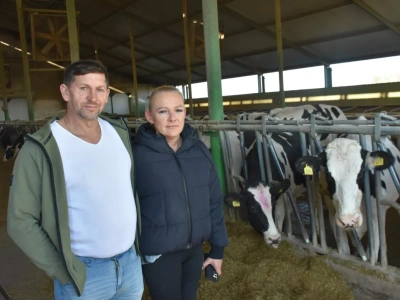 Zamienił ciężką pracę na komfort krów. Efekt? 13 tys. kg mleka