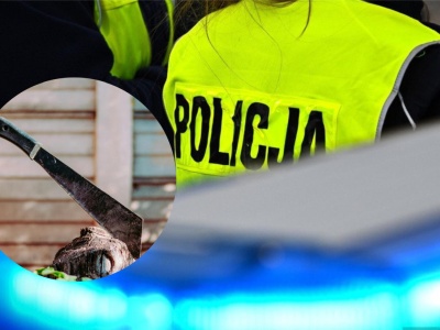 Maczeta w szkole. Sąd rodzinny zdecyduje o losie 14-latka. Czy działał z zemsty?