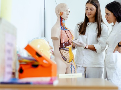 Zmiany w kształceniu dwóch zawodów medycznych. Więcej praktyki, nowe standardy
