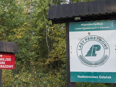 Trzem osobom związanym w przeszłości z gdańskim oddziałem Lasów Państwowych grozi po 10 lat więzienia. Jest akt oskarżenia