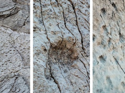 Spektakularne odkrycie we Włoszech. Pochodzą sprzed 210 milionów lat