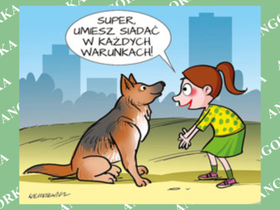 Nie tylko w domu. Trenowanie psa w każdej sytuacji