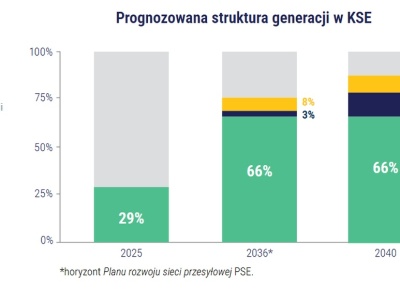 Polskie Sieci Elektroenergetyczne z nową strategią. OZE w 2035 r. ponad 60 procent, węgiel w 2040 r. tylko rezerwą