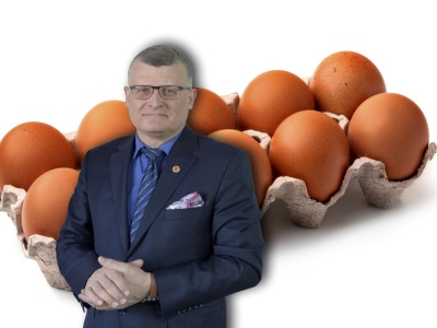 GIS ostrzega przed salmonellą w jajach