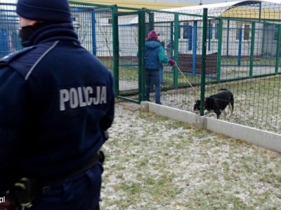 Agresja zamiast adopcji. Atak na kierowniczkę schroniska dla zwierząt w Tomarynach