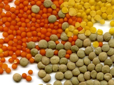 Dlaczego soczewica? Jest smaczna i zdrowa