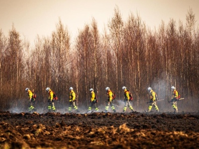 Nawet 30 tys. złotych kary za wypalanie traw