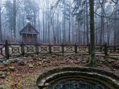 W Górach Świętokrzyskich ma powstać moloch. Ekolodzy alarmują