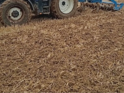 Mniej nawozów i ryzyka – co naprawdę daje rolnictwo regeneracyjne