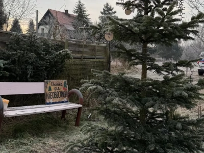 Choinka dla Nieobecnych. Przyjedź do Jar i powieś bombkę