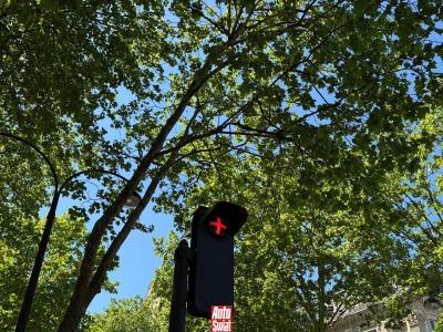 Sygnalizacja świetlna pokazuje czerwony plus. Co to oznacza?