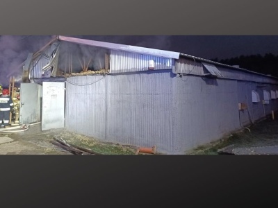 Pożar na fermie drobiu w Woli Morawickiej. W akcji siedem zastępów straży pożarnej