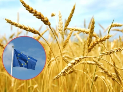 Jakie ceny zbóż i plony do 2035 roku? Prognozy Komisji Europejskiej
