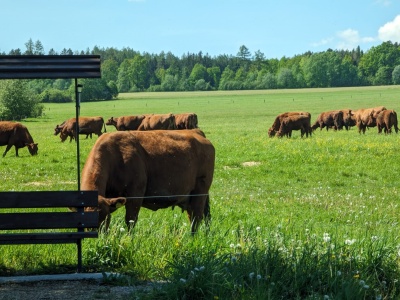 Mercosur tuż-tuż, a w Polsce trwa poszukiwanie winnych: „To hańba, rolnicy wam tego nie zapomną”