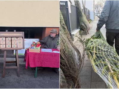 Każdy, kto oddał krew, oprócz czekolady otrzymał choinkę. Świąteczna akcja w całej Polsce