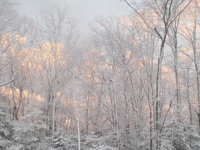 Ekstremalne mrozy w Kanadzie. Czy Europie grozi podobny atak zimy?