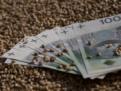 Premia dla młodego rolnika: czy uda się wydłużyć okres ubiegania się o pomoc?