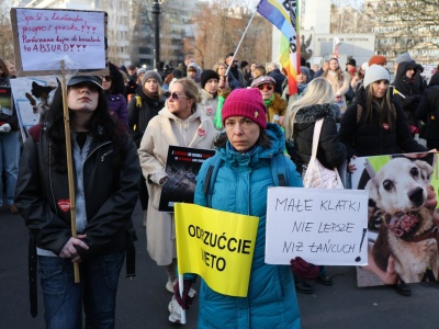 Obrońcy praw zwierząt od rana protestowali pod Sejmem. Znamy wynik głosowania ws. ustawy łańcuchowej