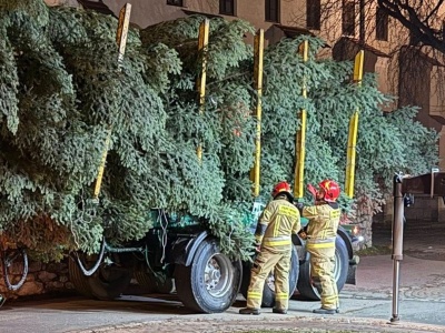 Świąteczny Kraków rośnie w siłę. Kolejna ogromna choinka dotarła do miasta