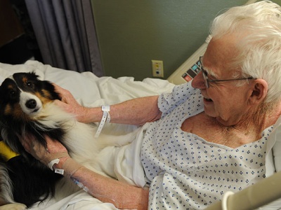 Zwierzęta przy łóżku pacjenta w Warszawie – profesor z Uniwersytetu Medycznego walczy o zmianę prawa