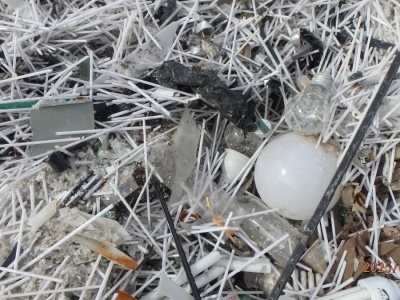 Składowisko świetlówek pod Strykowem uprzątnięte