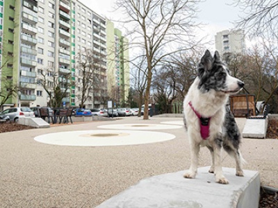 Nowy skwer przy Bogusławskiego na Bielanach już otwarty