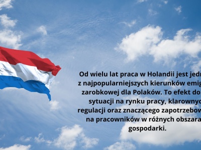 Praca w Holandii – praktyczny poradnik dla osób planujących wyjazd