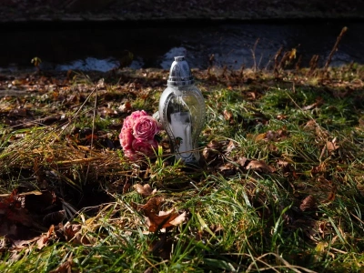 Wstrząsające zabójstwo 11-latki. Ekspert wskazuje możliwy motyw