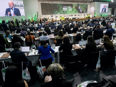 Eksperci nieświadomie szerzą dezinformację klimatyczną. Decyduje dobór słów