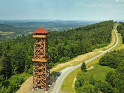 Tę wieżę w koronach drzew odwiedzisz za darmo. Wspaniałe widoki gwarantowane
