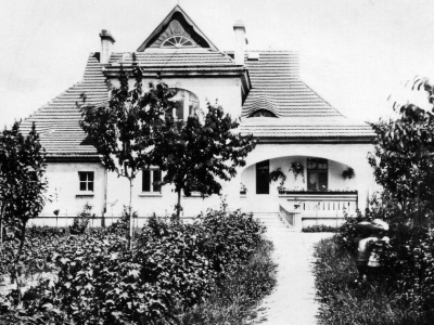 Kiedyś zamiast samochodów rosły tutaj owocowe drzewa